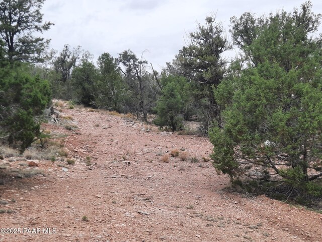 49203 N Sundance Way, Seligman, AZ 86337 - photo 26