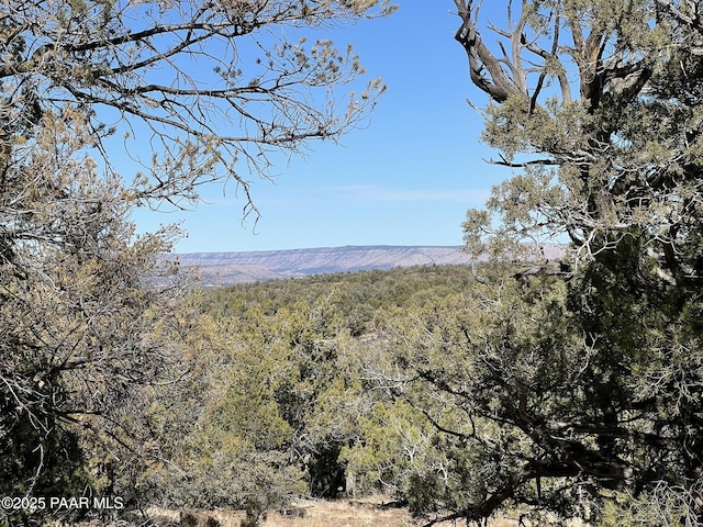 Listing photo 2 for 721 Shadow Rock Trl, Seligman AZ 86337