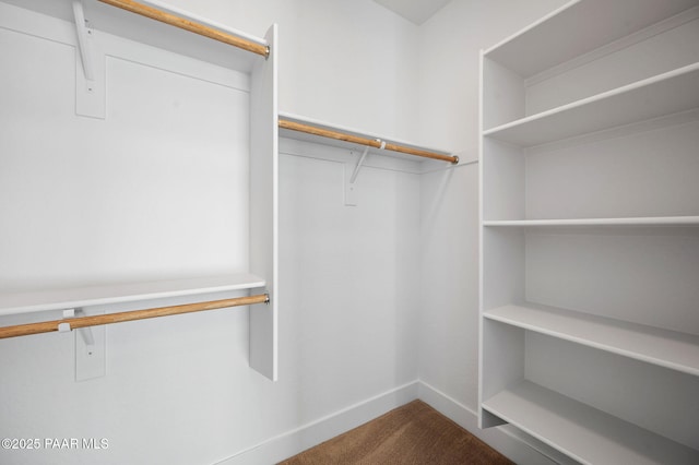 walk in closet featuring carpet flooring