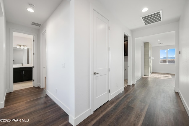 hall featuring sink and dark wood-type flooring