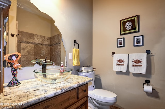 bathroom with toilet and vanity