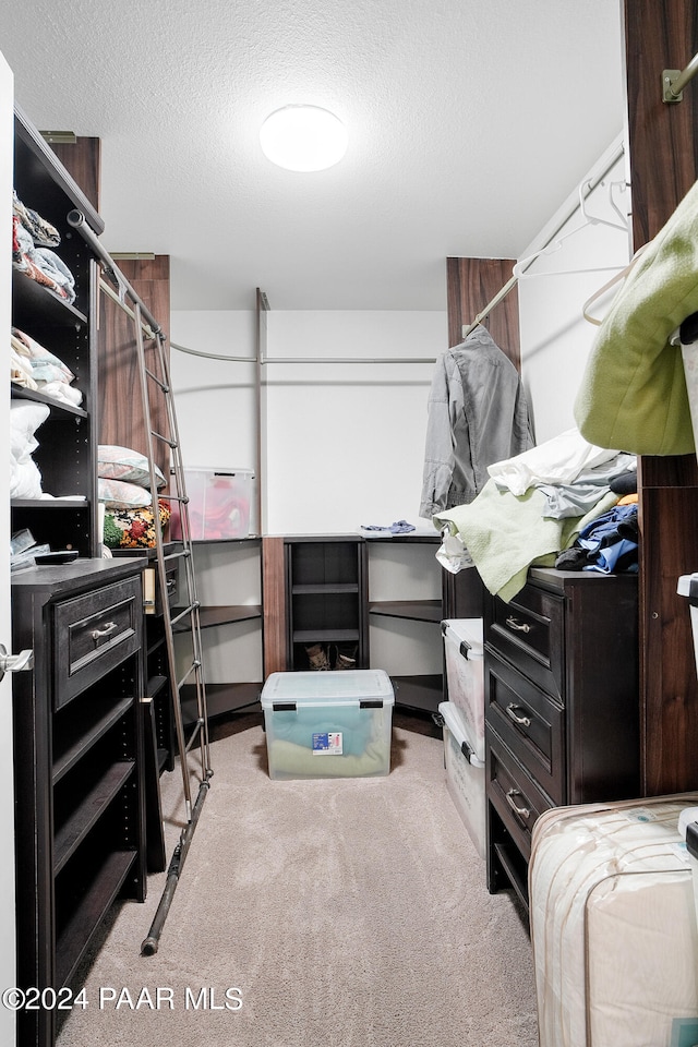 walk in closet with light carpet