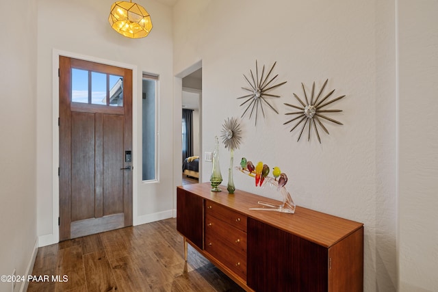 foyer entrance featuring dark wood-type flooring