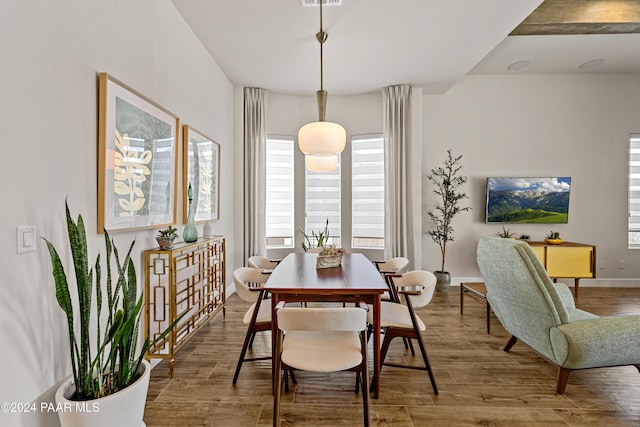 dining area featuring a wealth of natural light and wood-type flooring