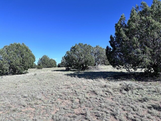 0 W Slow Creek Rd, Seligman, AZ 86337 - photo 6