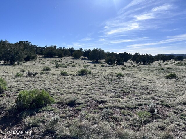 0 W Slow Creek Rd, Seligman, AZ 86337 - photo 9