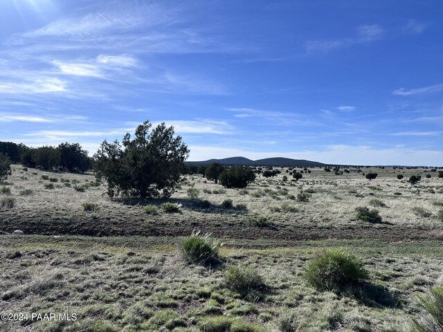 0 W Slow Creek Rd, Seligman, AZ 86337 - photo 10