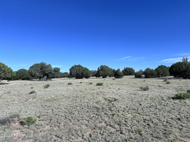 0 W Slow Creek Rd, Seligman, AZ 86337 - photo 5