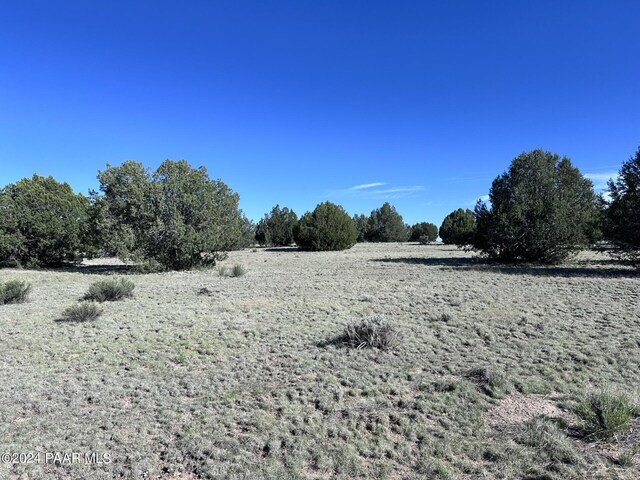 0 W Slow Creek Rd, Seligman, AZ 86337 - photo 1