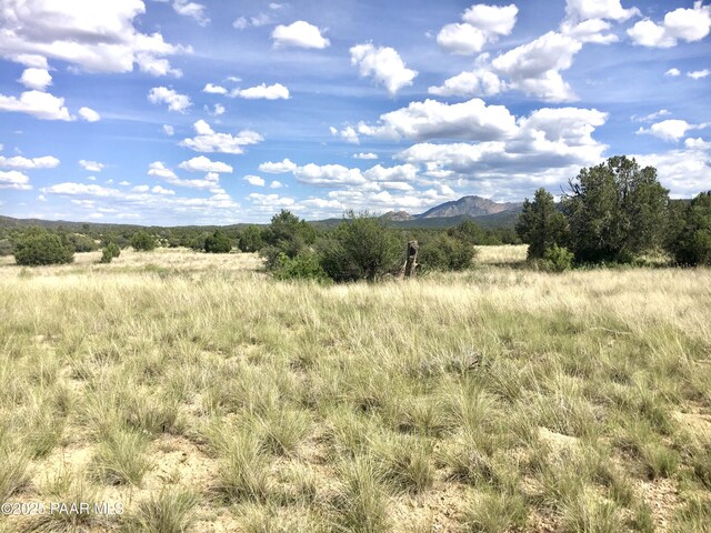 12650 N Puntenney Rd, Prescott, AZ 86305 - photo 14