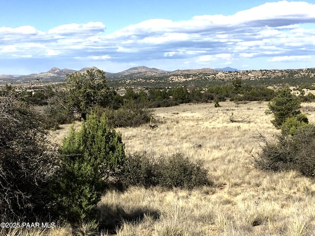 12650 N Puntenney Rd, Prescott AZ, 86305 land for sale