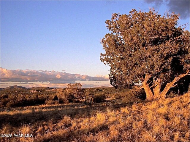 12650 N Puntenney Rd, Prescott, AZ 86305 - photo 10