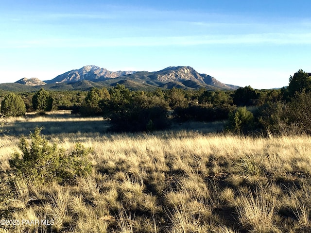 12650 N Puntenney Rd, Prescott, AZ 86305 - photo 6