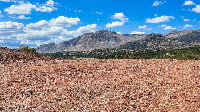 5780 W Stazenski Rd, Prescott, AZ 86305 - photo 23