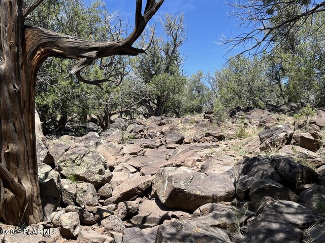 Lot 1097, Williams, AZ 86046