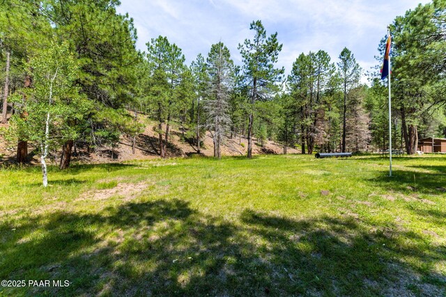 8092 S Poachers Row, Prescott, AZ 86303 - photo 28