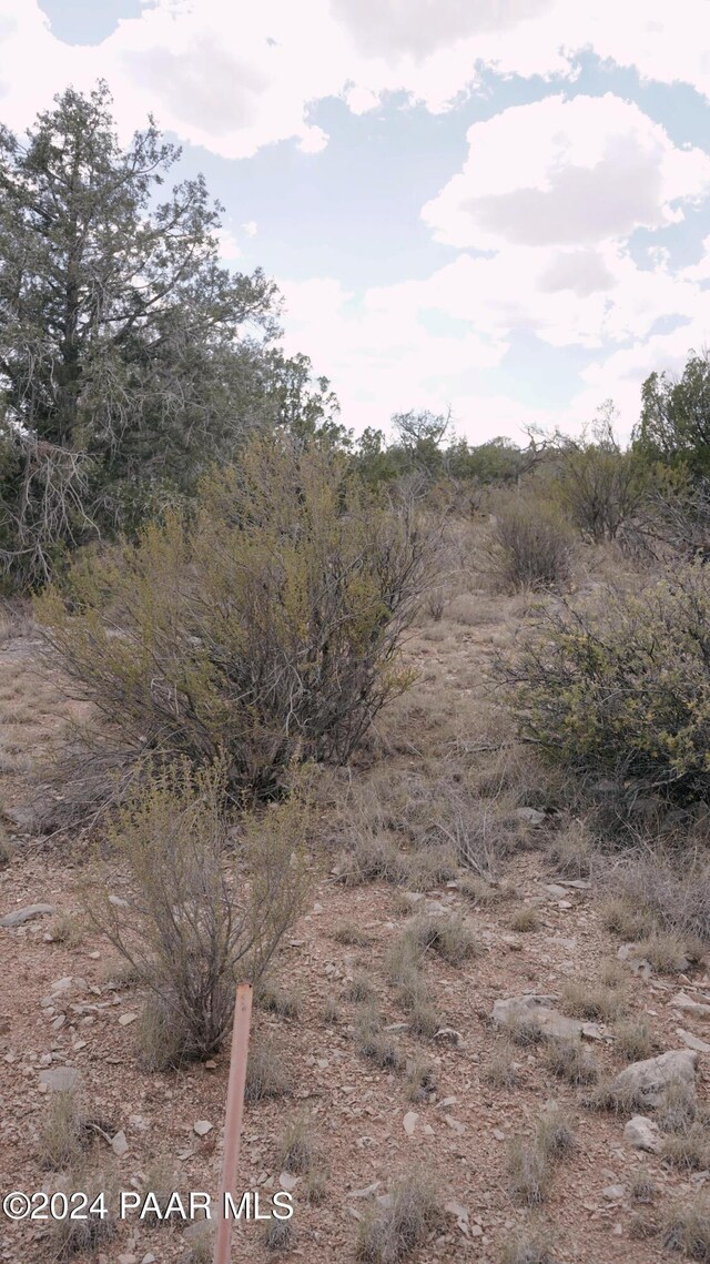 56950 N Shadow Mountain Pkwy, Seligman, AZ 86337 - photo 13
