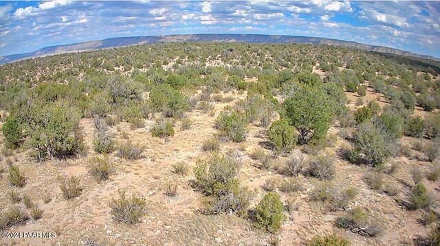 56950 N Shadow Mountain Pkwy, Seligman, AZ 86337 - photo 21