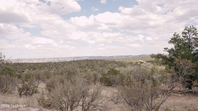 56950 N Shadow Mountain Pkwy, Seligman, AZ 86337 - photo 15