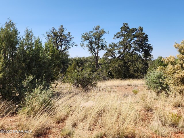 56950 N Shadow Mountain Pkwy, Seligman, AZ 86337 - photo 7