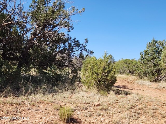 56950 N Shadow Mountain Pkwy, Seligman, AZ 86337 - photo 10