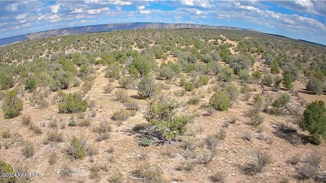 56950 N Shadow Mountain Pkwy, Seligman, AZ 86337 - photo 23