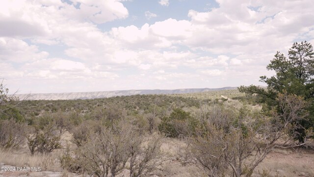 56950 N Shadow Mountain Pkwy, Seligman, AZ 86337 - photo 14