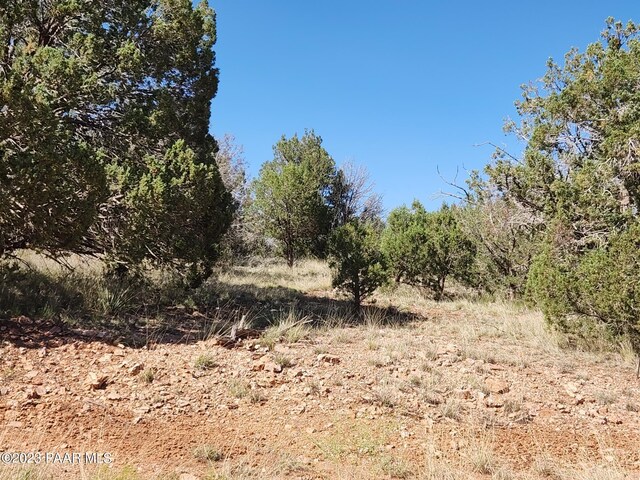 56950 N Shadow Mountain Pkwy, Seligman, AZ 86337 - photo 12