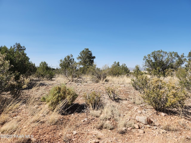 56950 N Shadow Mountain Pkwy, Seligman, AZ 86337 - photo 8