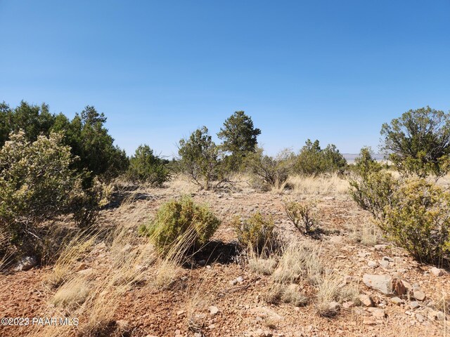 56950 N Shadow Mountain Pkwy, Seligman, AZ 86337 - photo 9