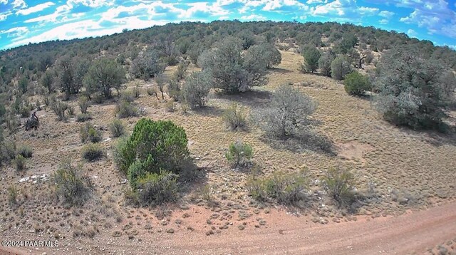 56950 N Shadow Mountain Pkwy, Seligman, AZ 86337 - photo 22