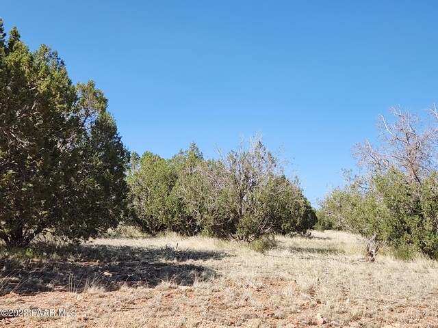 56950 N Shadow Mountain Pkwy, Seligman, AZ 86337 - photo 11