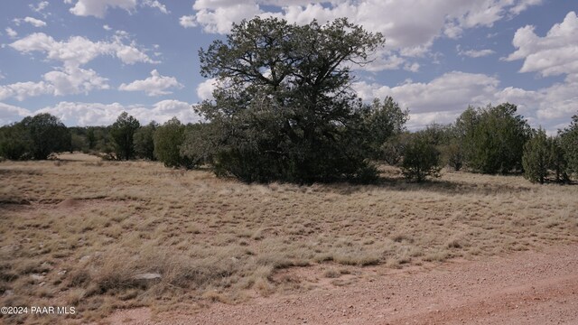 56950 N Shadow Mountain Pkwy, Seligman, AZ 86337 - photo 25
