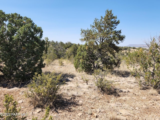 56950 N Shadow Mountain Pkwy, Seligman AZ, 86337 land for sale