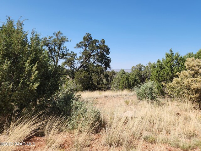56950 N Shadow Mountain Pkwy, Seligman, AZ 86337 - photo 6