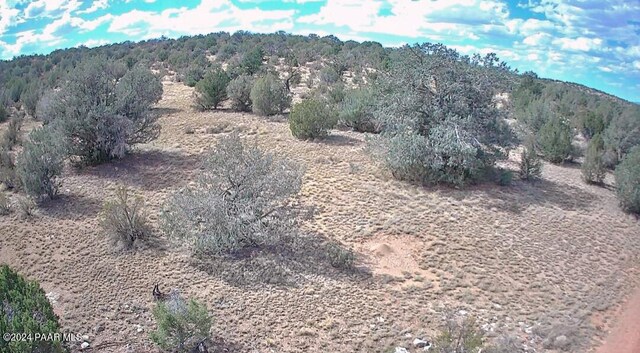 56950 N Shadow Mountain Pkwy, Seligman, AZ 86337 - photo 26