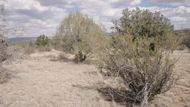 56950 N Shadow Mountain Pkwy, Seligman, AZ 86337 - photo 19