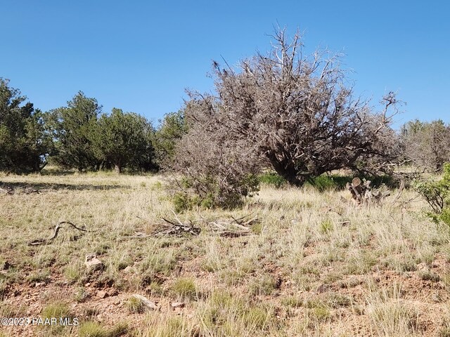 56950 N Shadow Mountain Pkwy, Seligman, AZ 86337 - photo 5