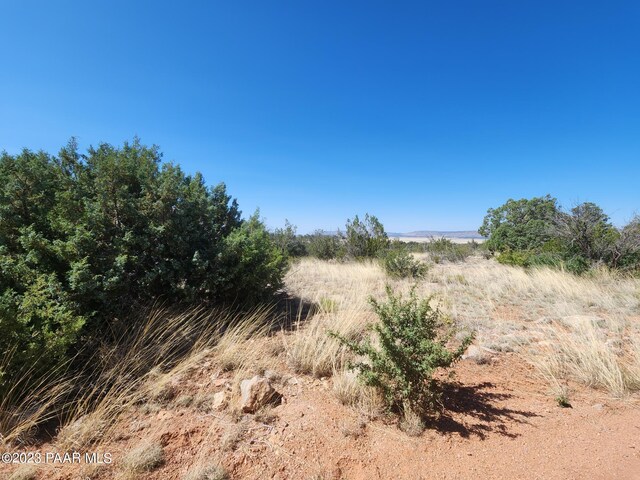 56950 N Shadow Mountain Pkwy, Seligman, AZ 86337 - photo 4