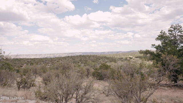 56950 N Shadow Mountain Pkwy, Seligman, AZ 86337 - photo 17