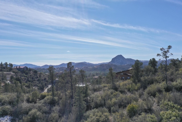 0 Tolemac Way, Prescott, AZ 86305 - photo 10