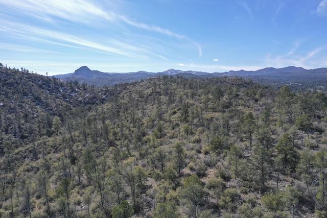 0 Tolemac Way, Prescott, AZ 86305 - photo 29