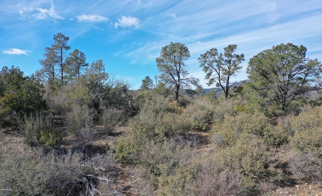 0 Tolemac Way, Prescott, AZ 86305 - photo 12