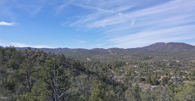 0 Tolemac Way, Prescott, AZ 86305 - photo 14
