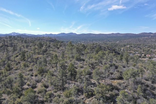 0 Tolemac Way, Prescott, AZ 86305 - photo 28