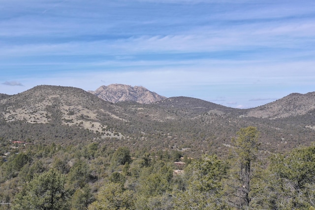 0 Tolemac Way, Prescott, AZ 86305 - photo 13