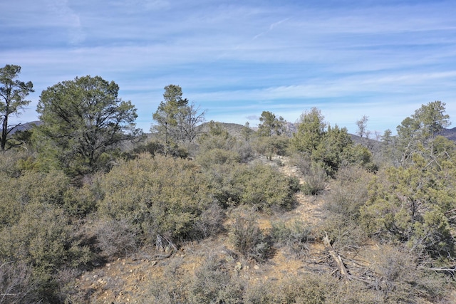 0 Tolemac Way, Prescott, AZ 86305 - photo 15
