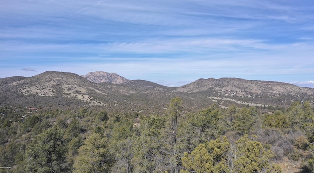 0 Tolemac Way, Prescott, AZ 86305 - photo 4