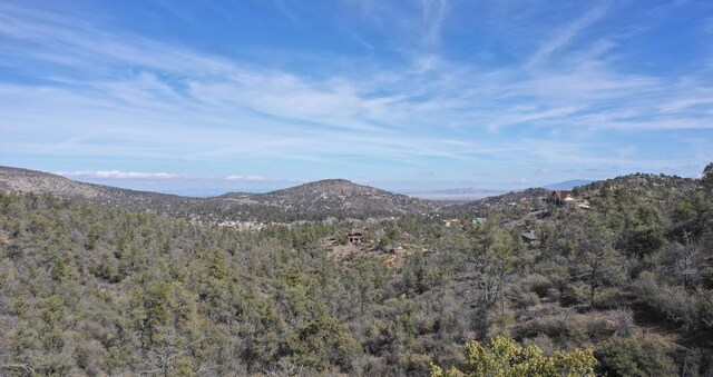 0 Tolemac Way, Prescott, AZ 86305 - photo 7