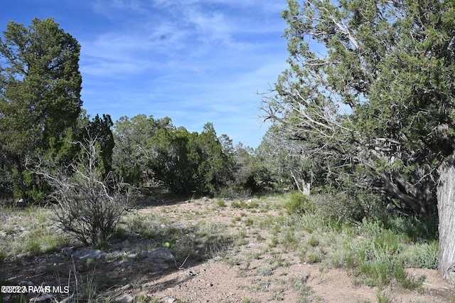 52084 Calle Ciervo, Seligman AZ, 86337 land for sale